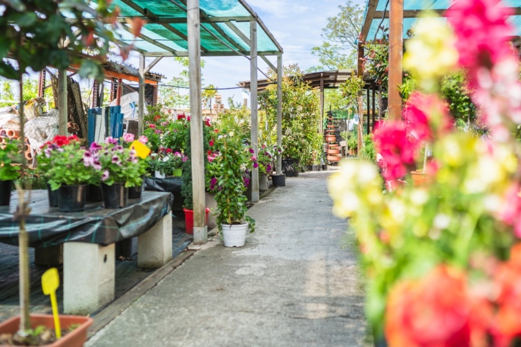 Egy dísznövény kereskedés