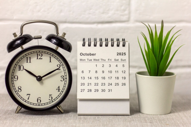 Óra, naptár és növény egy asztalon