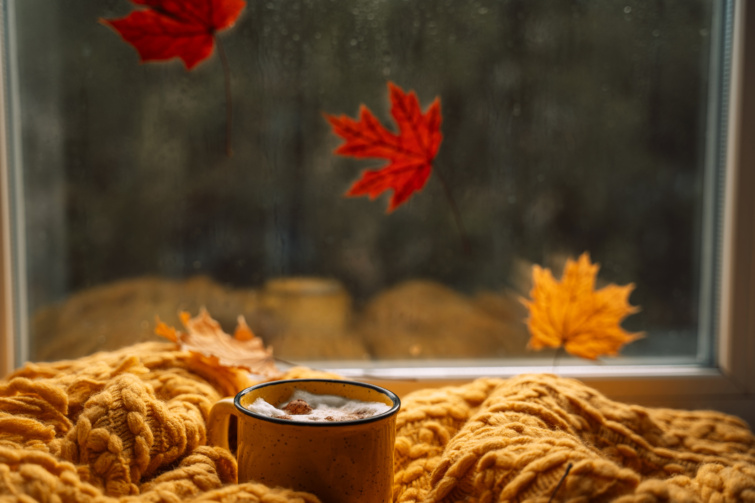 Őszi ablak falevelekkel