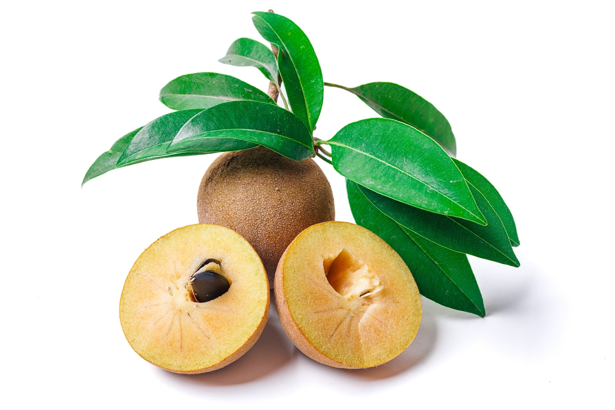 Sapodilla, másnéven rágógumifa