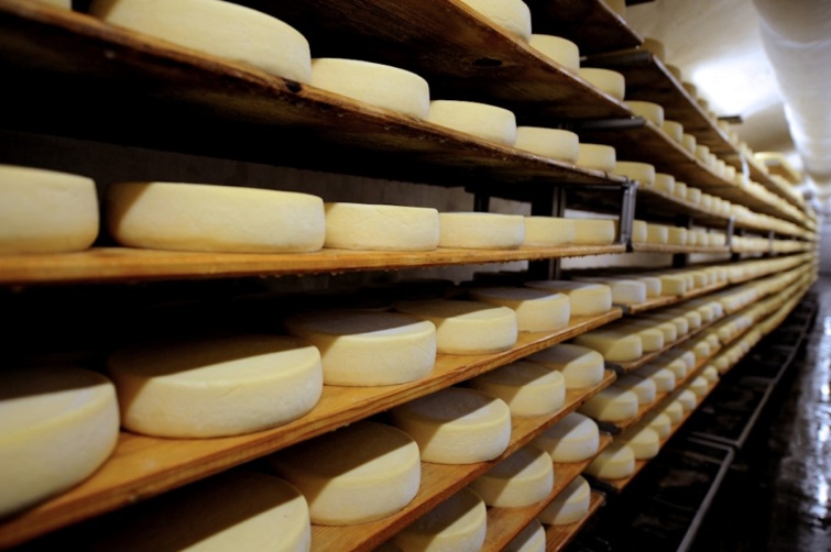 Trappista sajtok több sorban, egy üzem polcain