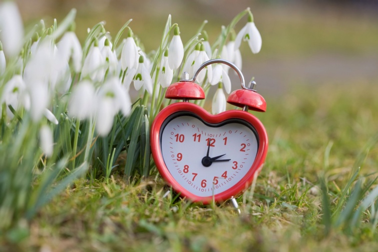 orahovirag Startlap Vásárlás Piros ébresztőóra a földön, hóvirágok között