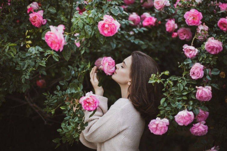 rozsano Startlap Vásárlás Barna hajú fiatal nő gyapjú kardigánban pózol virágzó rózsák közelében a kertben.