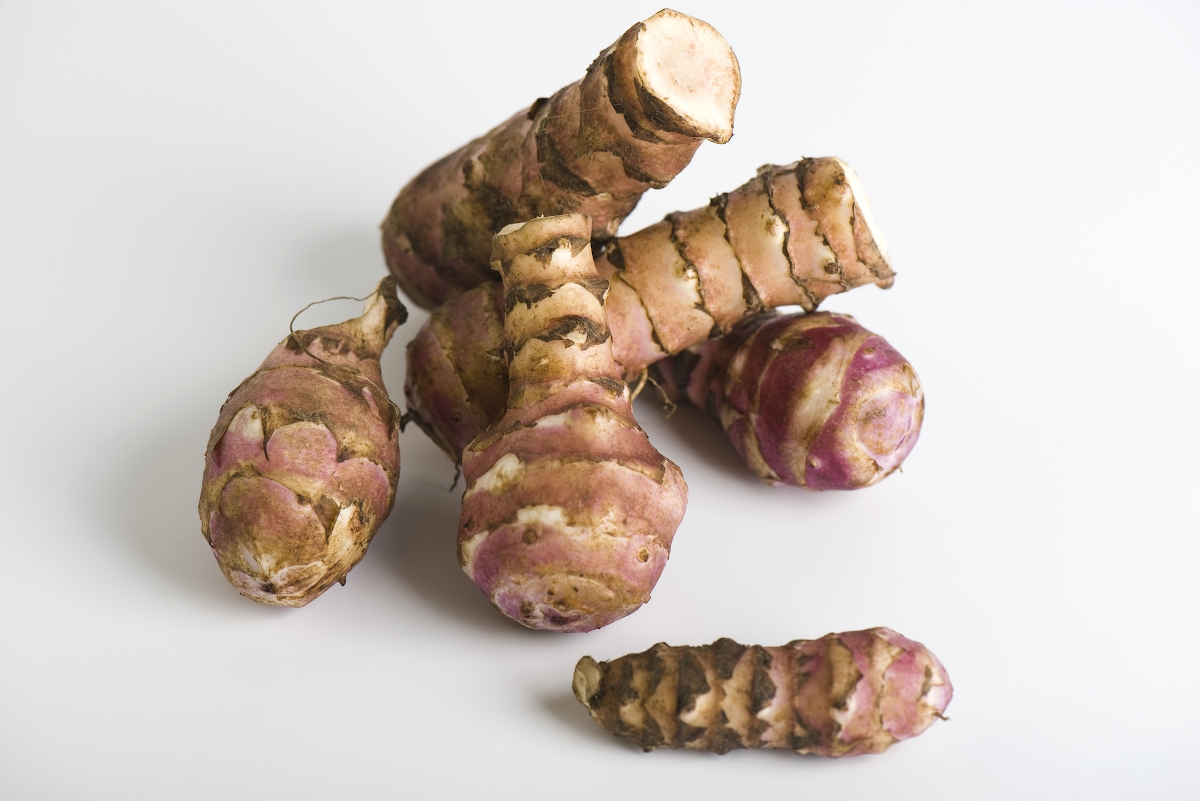 A csicsóka zöldség gyökerei