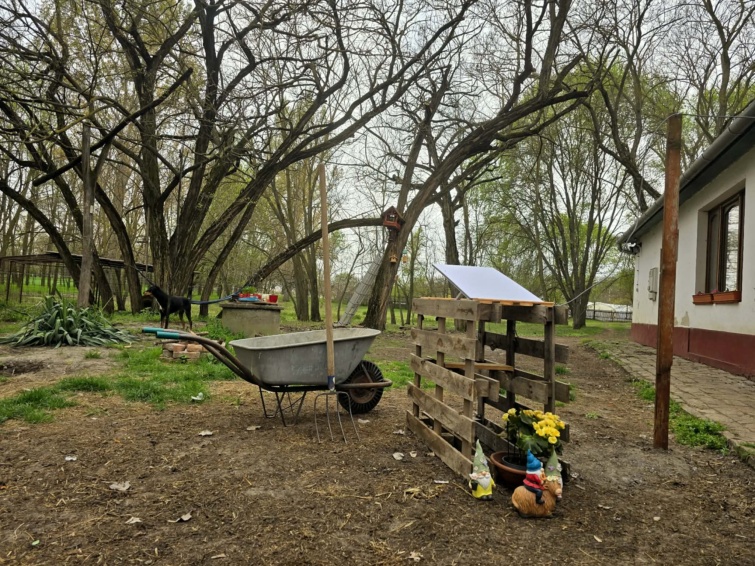 starlink tanyasi környezetben