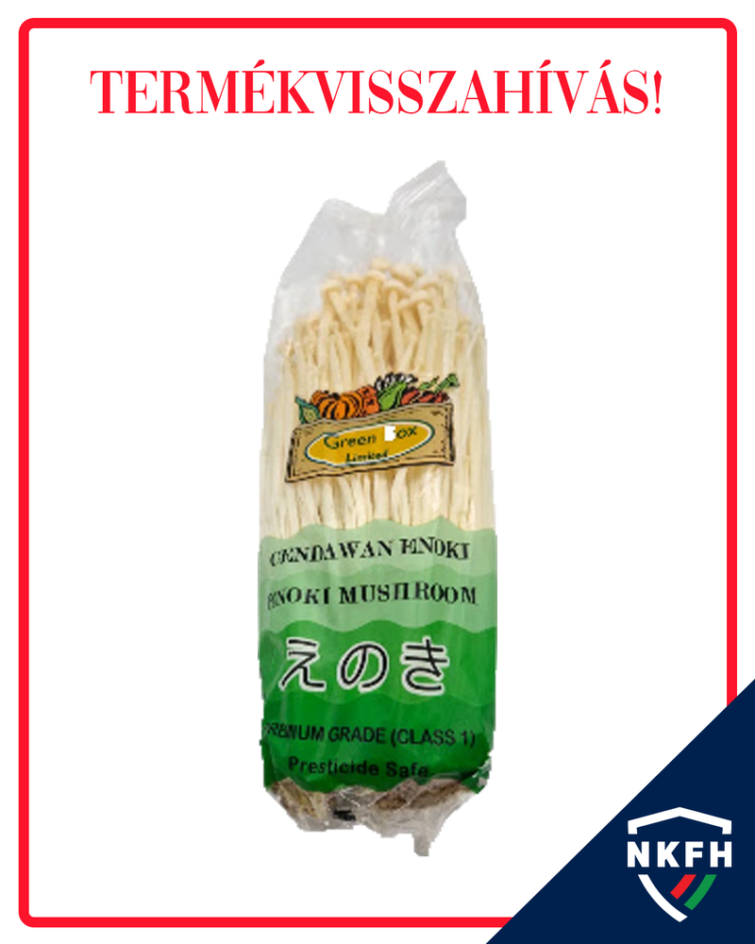 Enoki gomba