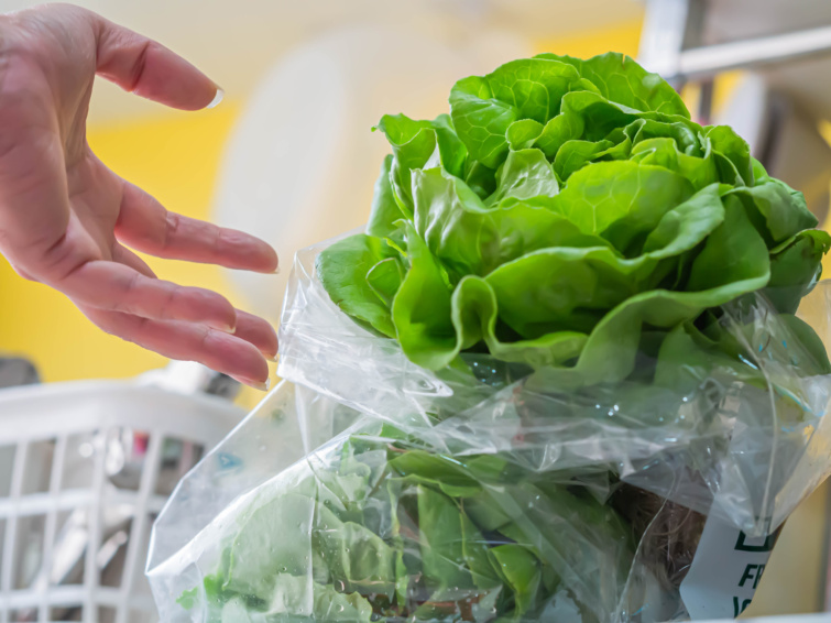 salata Startlap Vásárlás egy fej saláta zacskóban