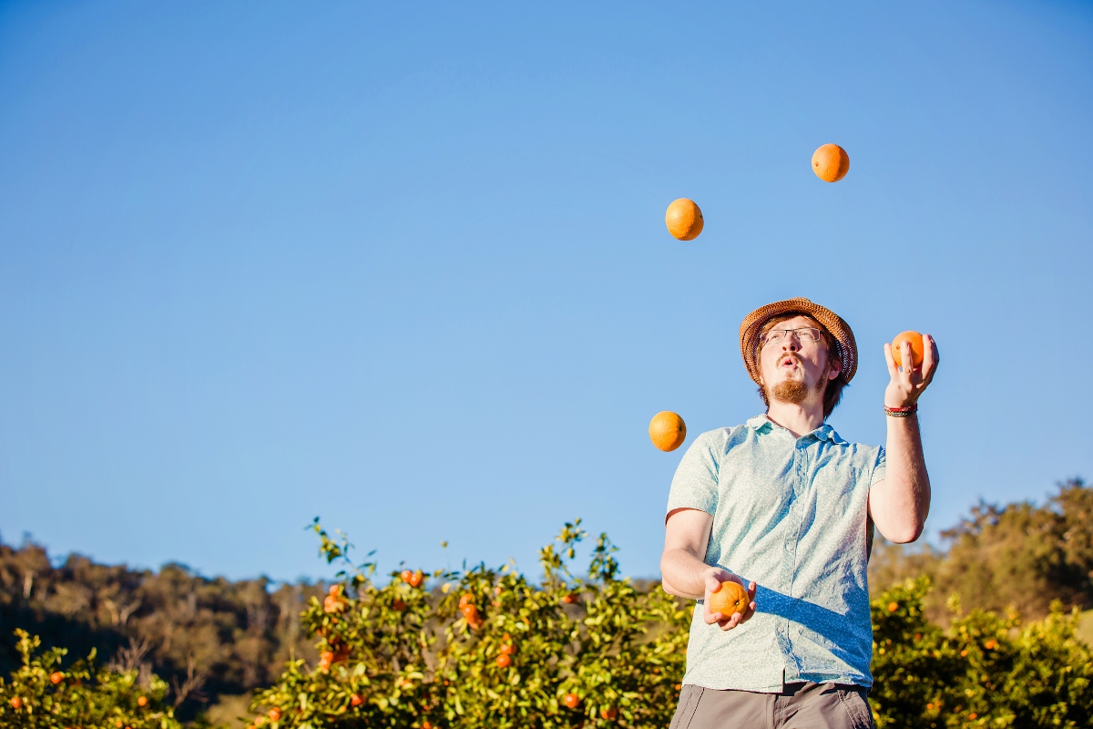 Vidám fiatalember zsonglőrködik narancsokkal a citrusfarmon egy napsütéses nyári napon
