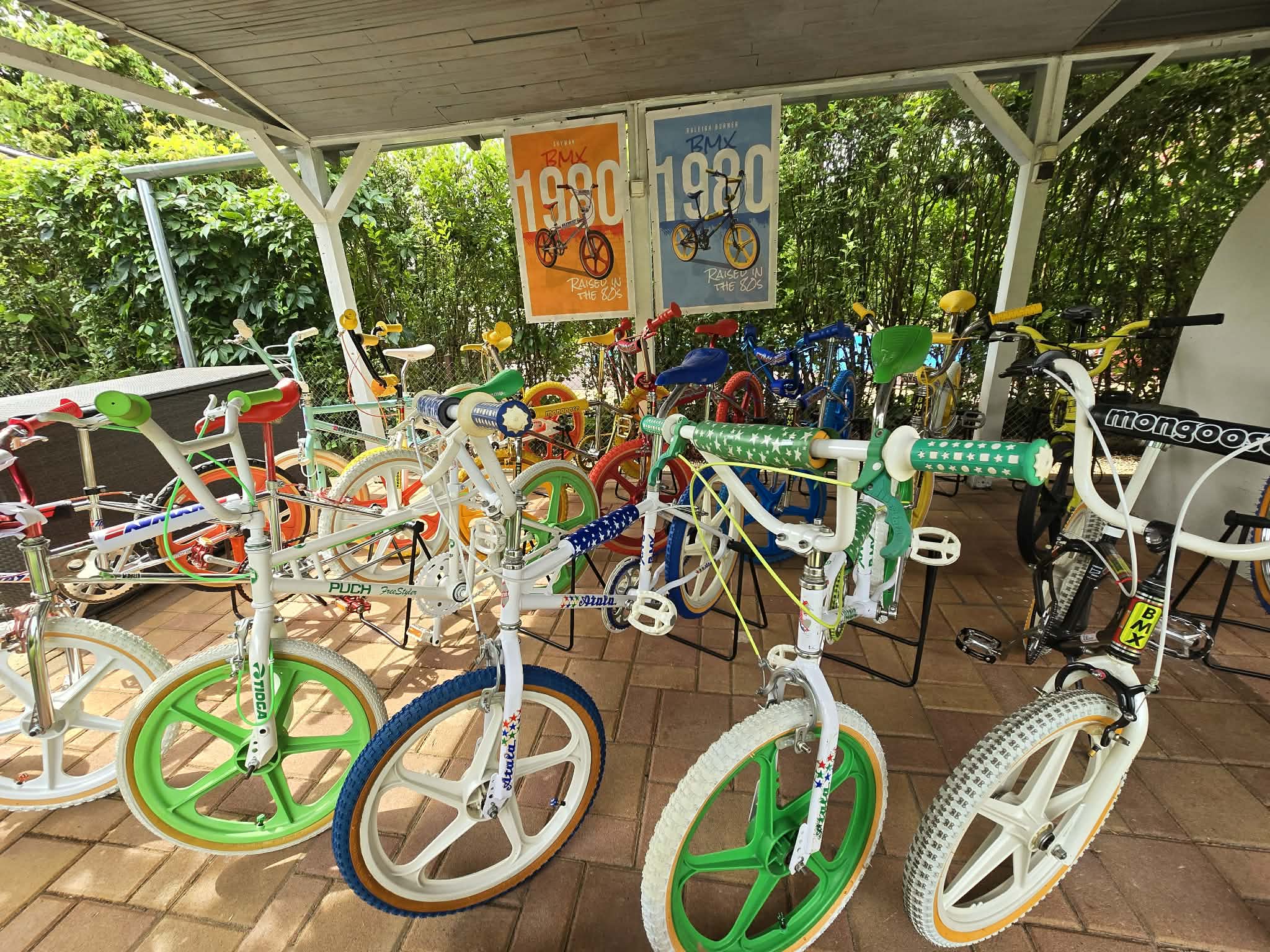 bmxek