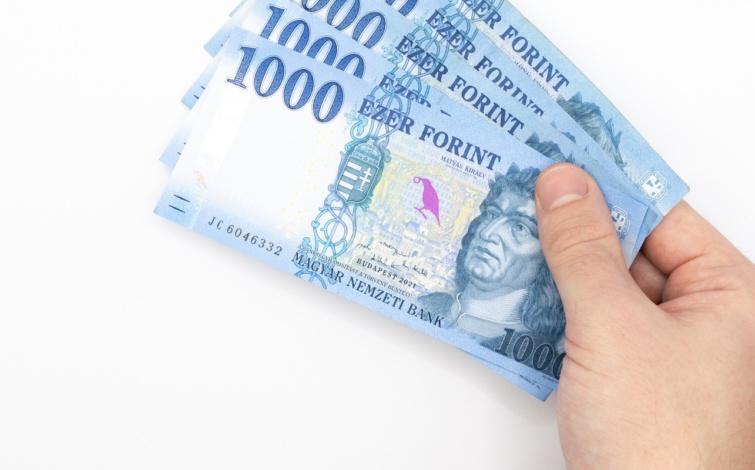 forintezreskezben Startlap Vásárlás Ezerforintosok egy kézben
