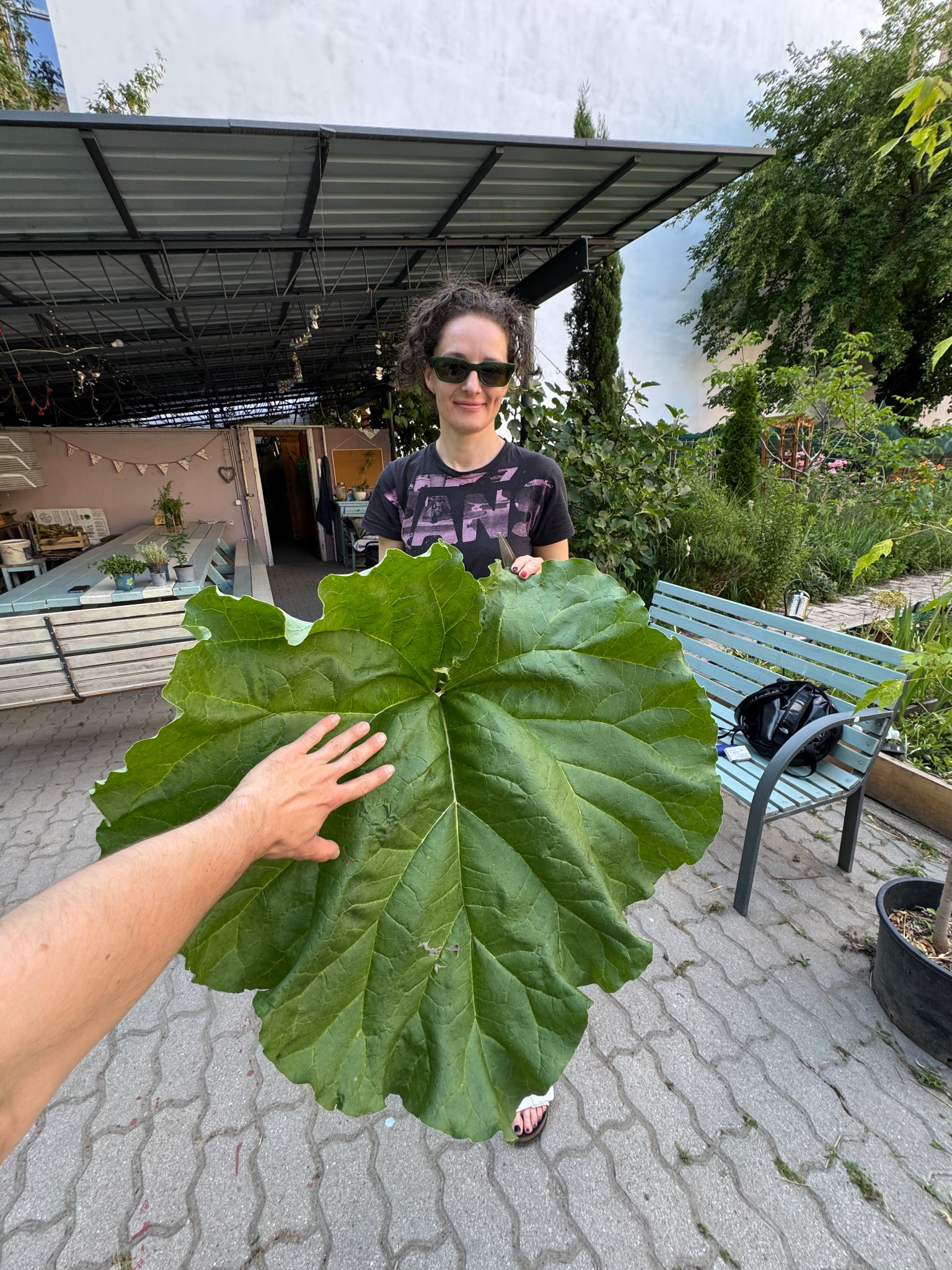 kozossegi kert 6 Startlap Vásárlás